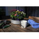 VOLKSWAGEN VOLKSWAGEN VW T4 BUS COFFEE MUG 370ml IN GIFT BOX - blue